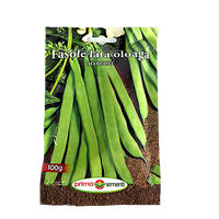 Seminte de fasole oloaga verde Marconi, 100 g, Prima Sementi - 1