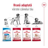 ROYAL CANIN Medium Adult, hrană uscată câini, 15kg - 11