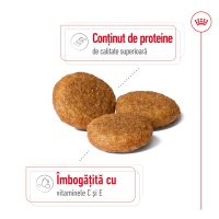 ROYAL CANIN Medium Adult, hrană uscată câini, 15kg - 4