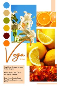 Vega by Patric, parfum pentru femei, 100 ml - 3