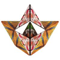 Shashibo Savanna - Cub transformabil magnetic, puzzle 3D - 3