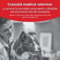 ROYAL CANIN VETERINARY DIET Glycobalance Low Carbohydrate pentru Câini cu Diabet, Conservă Umidă 410g - 4