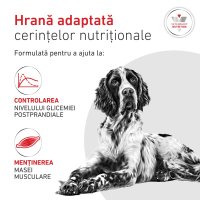 ROYAL CANIN VETERINARY DIET Glycobalance Low Carbohydrate pentru Câini cu Diabet, Conservă Umidă 410g - 5