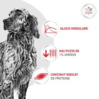 ROYAL CANIN VETERINARY DIET Glycobalance Low Carbohydrate pentru Câini cu Diabet, Conservă Umidă 410g - 6