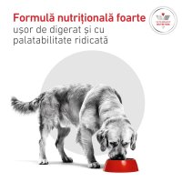 ROYAL CANIN VETERINARY DIET Glycobalance Low Carbohydrate pentru Câini cu Diabet, Conservă Umidă 410g - 7