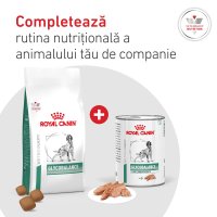 ROYAL CANIN VETERINARY DIET Glycobalance Low Carbohydrate pentru Câini cu Diabet, Conservă Umidă 410g - 10