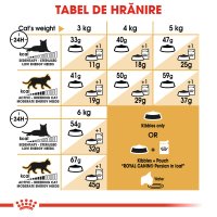 ROYAL CANIN Persian Adult, hrană uscată pisici, 10kg - 8