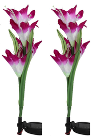 Set 2 lampi solare pentru gradina model FLOARE colorata - 1