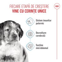 ROYAL CANIN Medium Puppy, hrană uscată câini junior, 1kg - 4