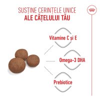 ROYAL CANIN Medium Puppy, hrană uscată câini junior, 1kg - 5