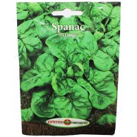 Seminte de spanac Matador 18 gr, Prima Sementi - Soi semitimpuriu rezistent - 1