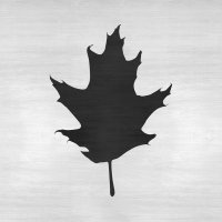 Sablon Perete vopsire, tencuiala 0.7mm Oak Leaf Refolosibil, model MXSP7185, 200 x 200 mm - 4