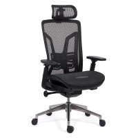 Scaun de birou ergonomic SYYT 9506 cu brate reglabile - negru - 1