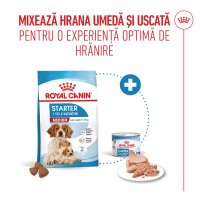 ROYAL CANIN Medium Starter Mother & Babydog, mama și puiul, hrană uscată câini, 4kg - 10