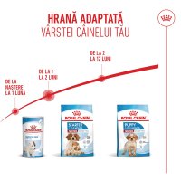 ROYAL CANIN Medium Starter Mother & Babydog, mama și puiul, hrană uscată câini, 4kg - 11