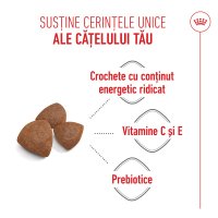 ROYAL CANIN Medium Starter Mother & Babydog, mama și puiul, hrană uscată câini, 4kg - 5