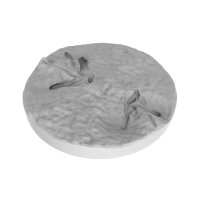 Miniatura Nepictata Base (Void Realm) - 1