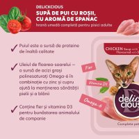 DELICKCIOUS Supă cu Pui și Roșii pentru Pisici, 80g - 5