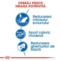 ROYAL CANIN Indoor Adult, hrană uscată pisici, de interior, 400g - 4