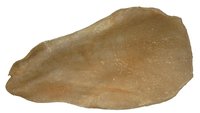Urechi de Vita Uscate 2726 - 1