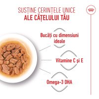 ROYAL CANIN Mini Puppy, hrană umedă câini junior, (în sos), 85g - 5