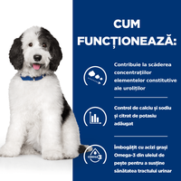 HILL'S Prescription Diet c/d + Weight Care, Pui cu Legume, dietă veterinară câini, conservă hrană umedă, sistem urinar și controlul greutății, 156g - 5