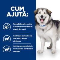 HILL'S Prescription Diet c/d Urinary + Weight Care + Metabolic, Pui, dietă veterinară câini, hrană uscată, afecțiuni urinare și metabolice HILL'S Prescription Diet c/d Urinary + Weight Care + Metabolic, Pui, dietă veterinară câini, hrană uscată, sistem u - 11