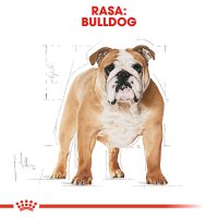 ROYAL CANIN Bulldog Adult, hrană uscată câini, 12kg - 4