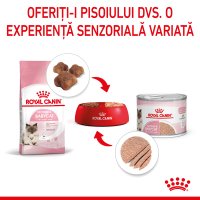 ROYAL CANIN Mother & BabyCat, hrană umedă pisici, mama și puiul, (mousse), 195g - 9