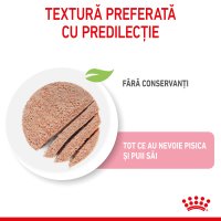 ROYAL CANIN Mother & BabyCat, hrană umedă pisici, mama și puiul, (mousse), 195g - 5