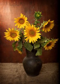 Fototapet Buchet Floarea Soarelui - Decor Eco-Friendly - 1