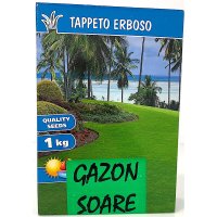 Seminte gazon soare 1 kg - Mix optim pentru peluze - 1