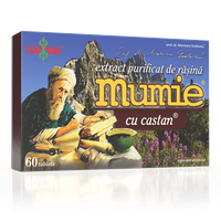 Extract Purificat de Rasina Mumie cu Castan - 60 Tablete Damar - 1
