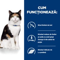HILL'S Prescription Diet y/d Thyroid Care cu pui, hrana umeda veterinara pentru pisici, conserva 156 g - 6
