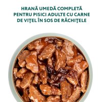 OPTIMEAL Vită cu Merișoare - Hrană Umedă pentru Pisici în Sos, 85g - 4