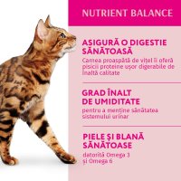 OPTIMEAL Vită cu Merișoare - Hrană Umedă pentru Pisici în Sos, 85g - 3