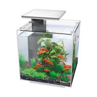 Acvariu Hailea QUBIQ 30 LED - alb - 1