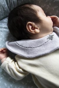 Baveta BabyJem cu broderie Teddy Gri - 1