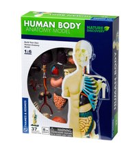 Set educativ STEM - Anatomia corpului uman - 1