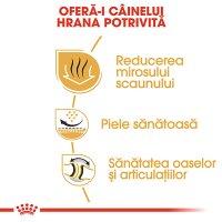 ROYAL CANIN Bulldog Adult, hrană uscată câini, 3kg - 5