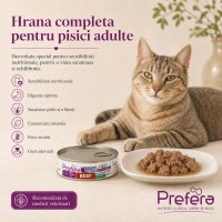 MPD Preferat, Dietă Veterinară pentru Pisici cu Vită, Conservă Monoproteică Fără Cereale, 85g - 3
