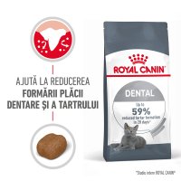 ROYAL CANIN Dental Care Adult, hrana uscata pentru pisici, 400g, reduce formarea tartrului - 1