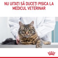 ROYAL CANIN Dental Care Adult, hrana uscata pentru pisici, 400g, reduce formarea tartrului - 8