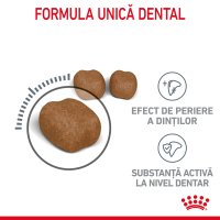 ROYAL CANIN Dental Care Adult, hrana uscata pentru pisici, 400g, reduce formarea tartrului - 4