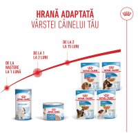 ROYAL CANIN Starter Mousse, mama și puiul, conservă hrană umedă câini, (mousse), 195g - 9