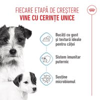 ROYAL CANIN Starter Mousse, mama și puiul, conservă hrană umedă câini, (mousse), 195g - 4