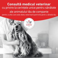 ROYAL CANIN VD Gastrointestinal, Dieta Veterinara Umeda pentru Caini, Pate, 200g - 4