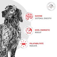 ROYAL CANIN VD Gastrointestinal, Dieta Veterinara Umeda pentru Caini, Pate, 200g - 7