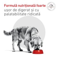 ROYAL CANIN VD Gastrointestinal, Dieta Veterinara Umeda pentru Caini, Pate, 200g - 8
