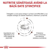 ROYAL CANIN VD Gastrointestinal Low Fat, XS-XL, dietă veterinară, hrană uscată câini, sistem digestiv, 12kg - 7